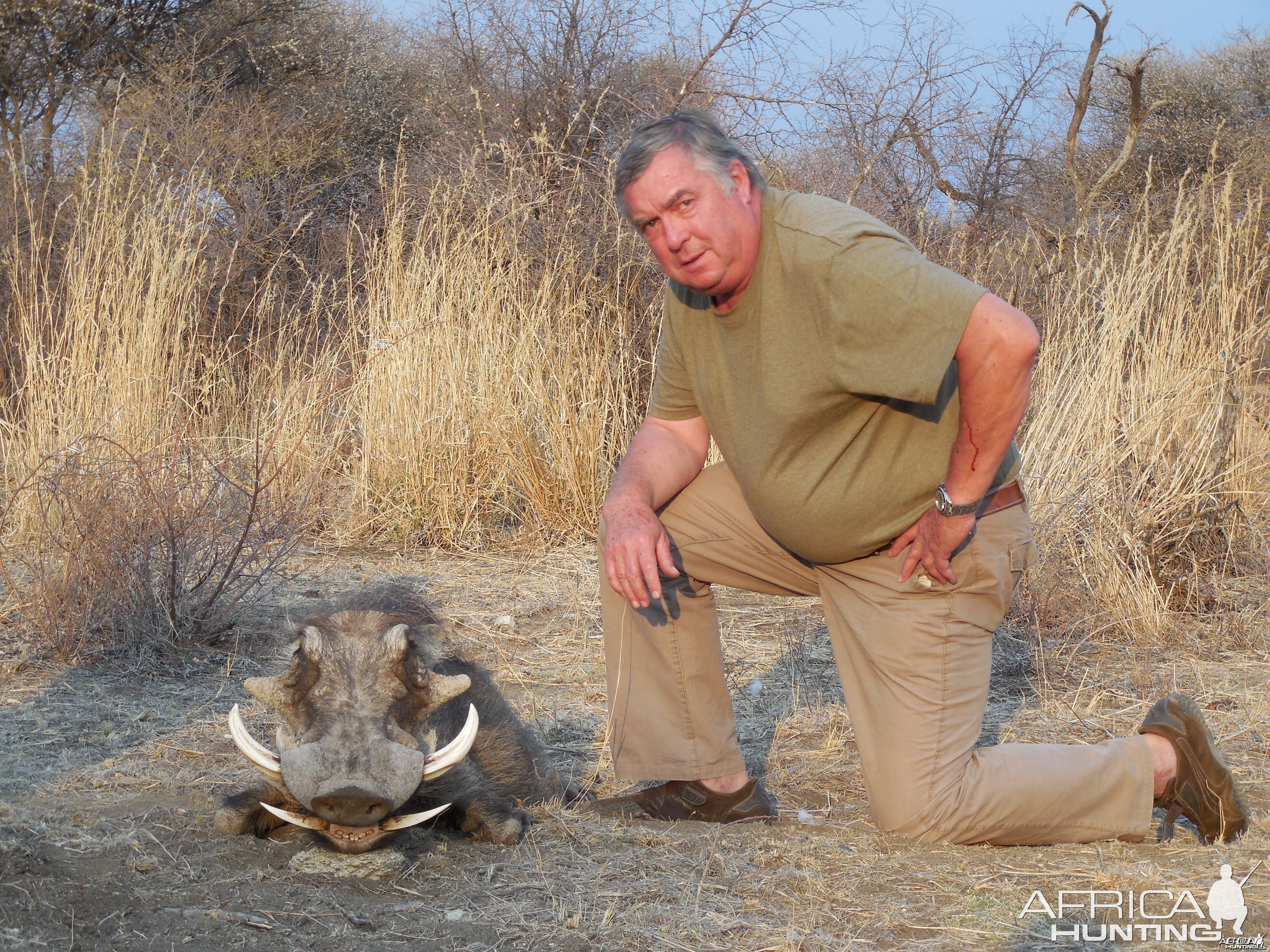 Warthog hunted with Ozondjahe Hunting Safaris in Namibia