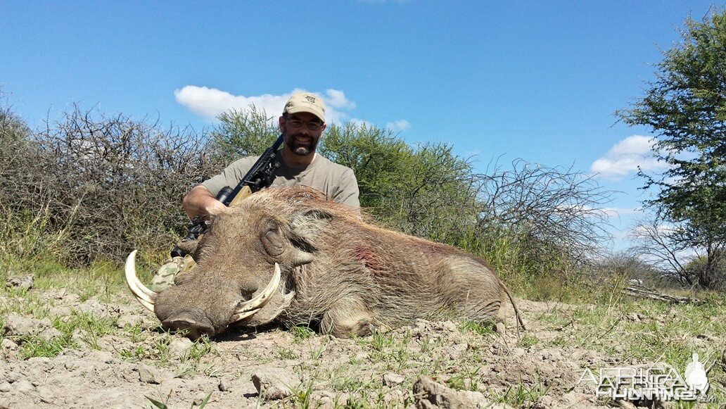 Warthog RSA Limpopo 2014