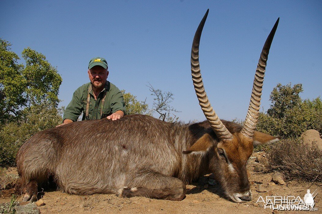 Waterbuck