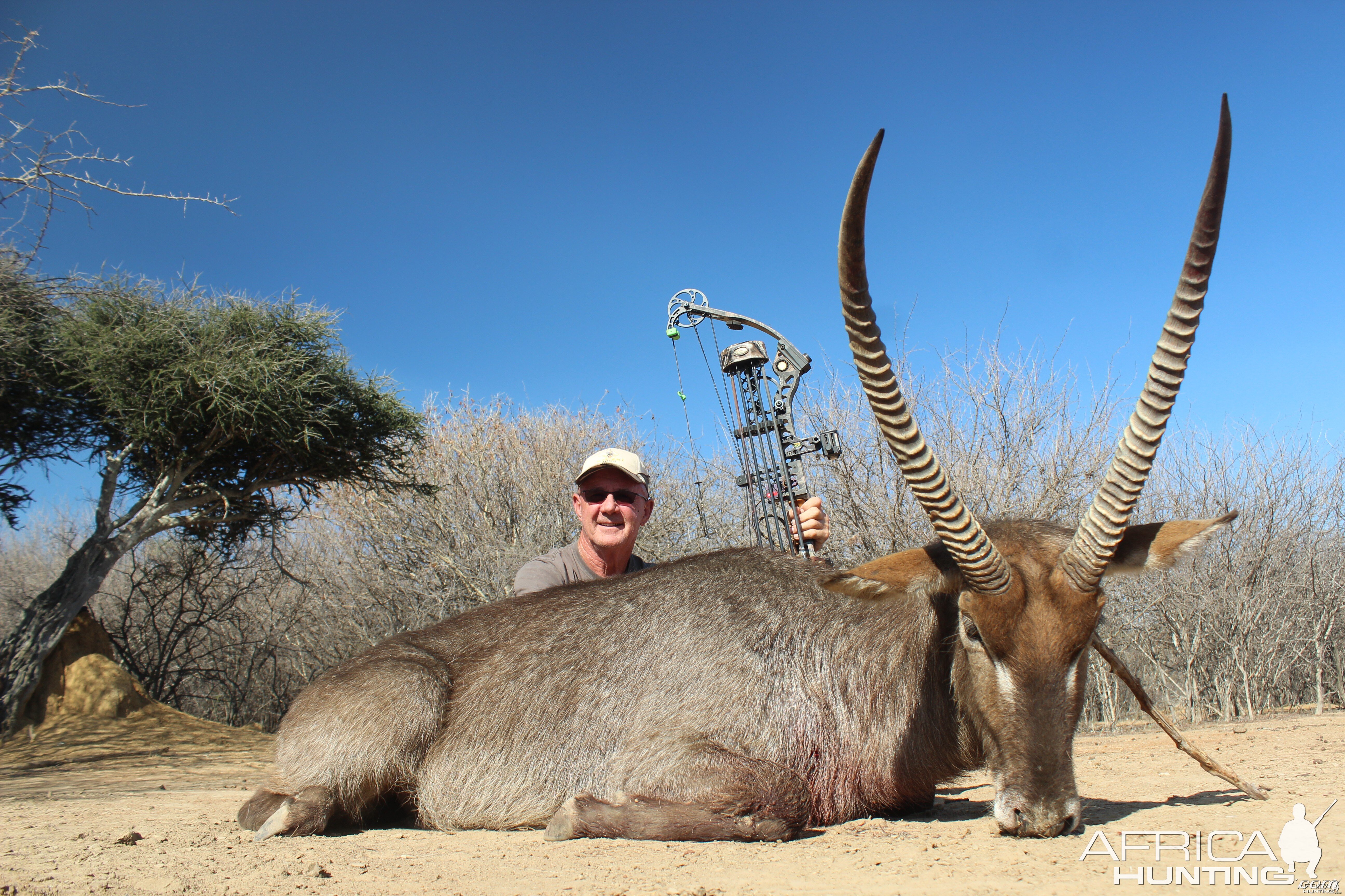 Waterbuck