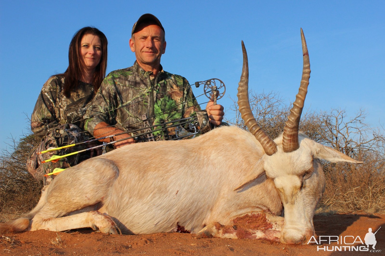 White Blesbok Bow Hunting South Africa