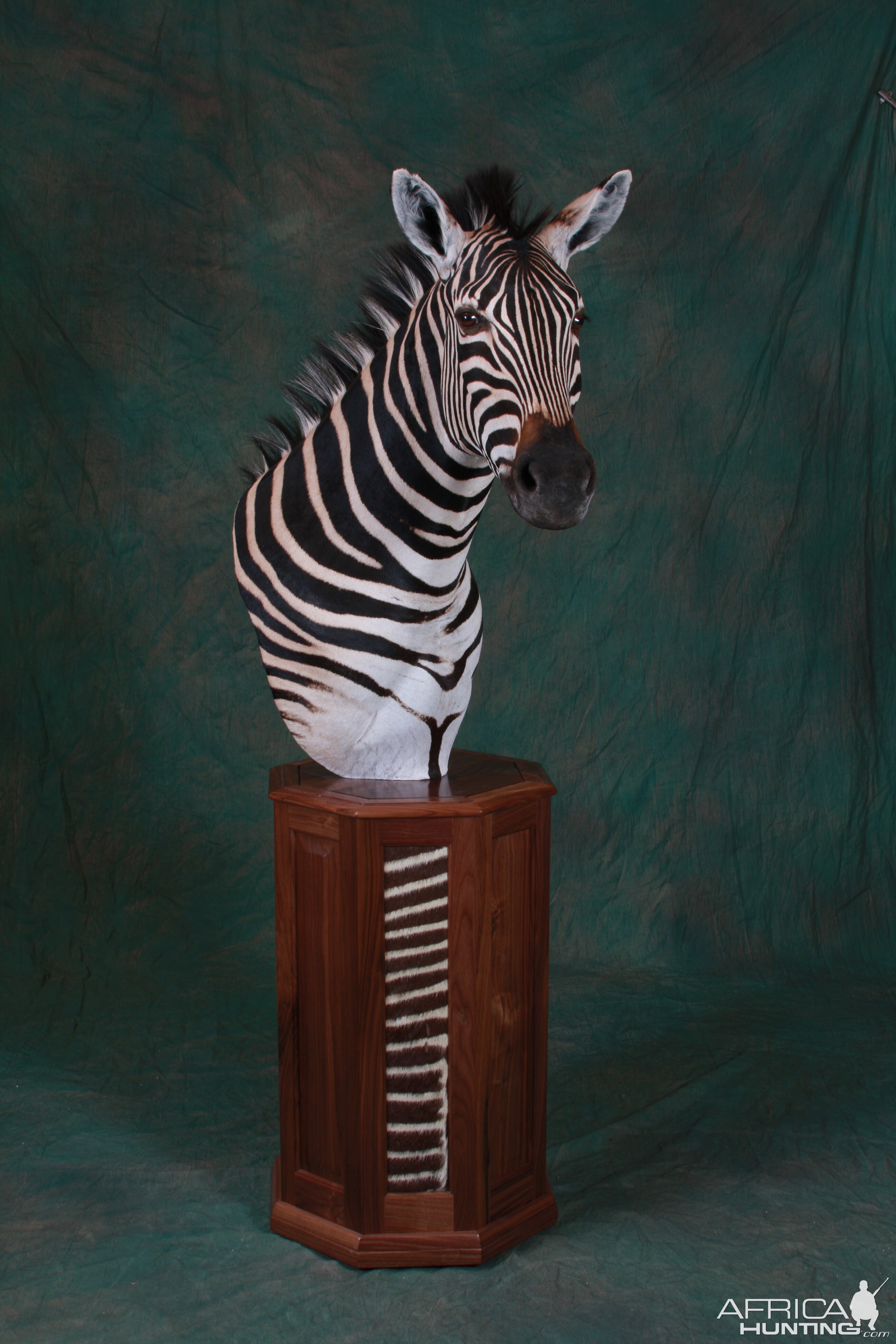 Zebra Pedestal Mount