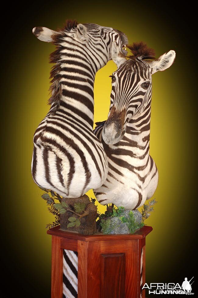 Zebra pedestal mount