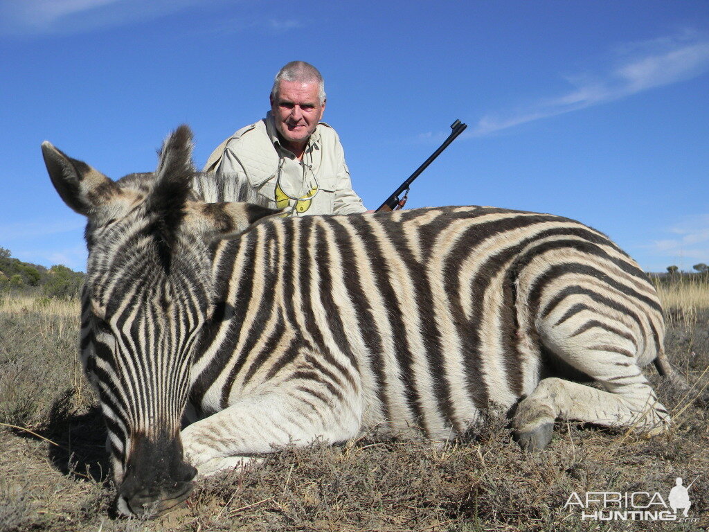 Zebra South Africa