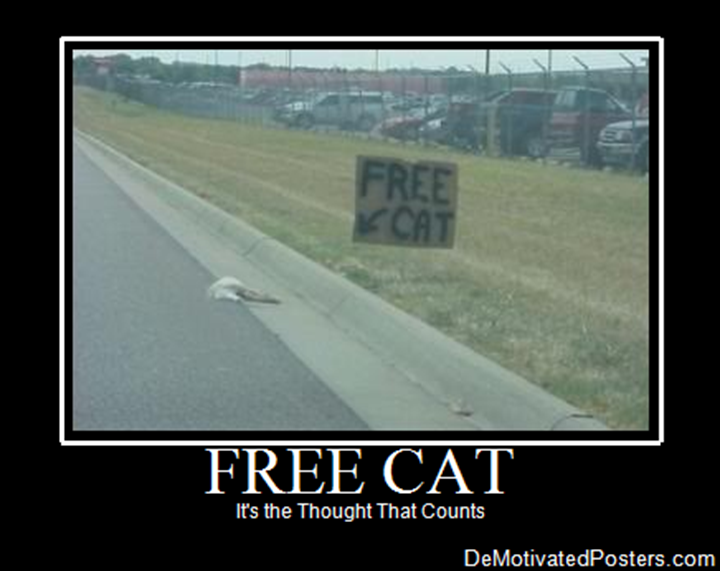 Free-Cat_20101201225453_reg.png