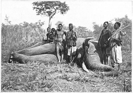 AskarisandShikariswithanelephantshotbyaDutchBaroninEastAfrican_zpscc691105.jpg