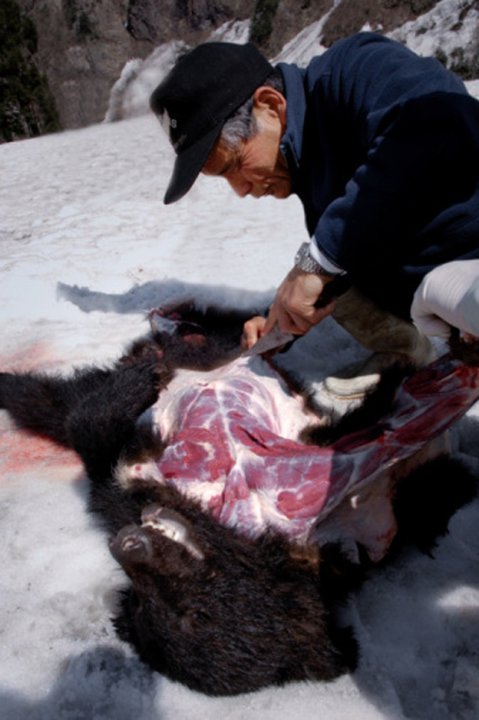 JapanesebearhunterskinninghisquarryHokkaidoIslandnorthernJapan_zpsb1725642.jpg