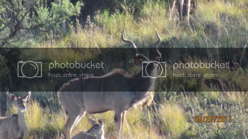 AFRICASAFARI2011053.jpg