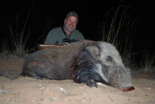 bushpig-2.jpg