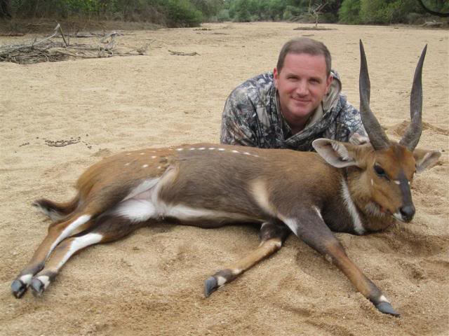 Bushbuck1Medium.jpg