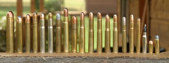 545_Double_Rifle_Bullets.jpg