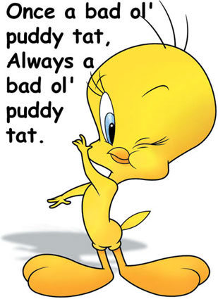 looney_tunes_tweety_pie.jpg