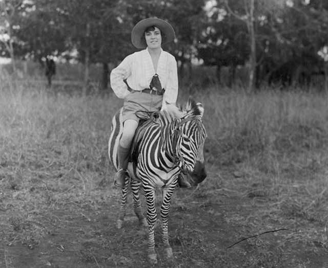 05 Osa ridiing Zebra-68532756.jpg