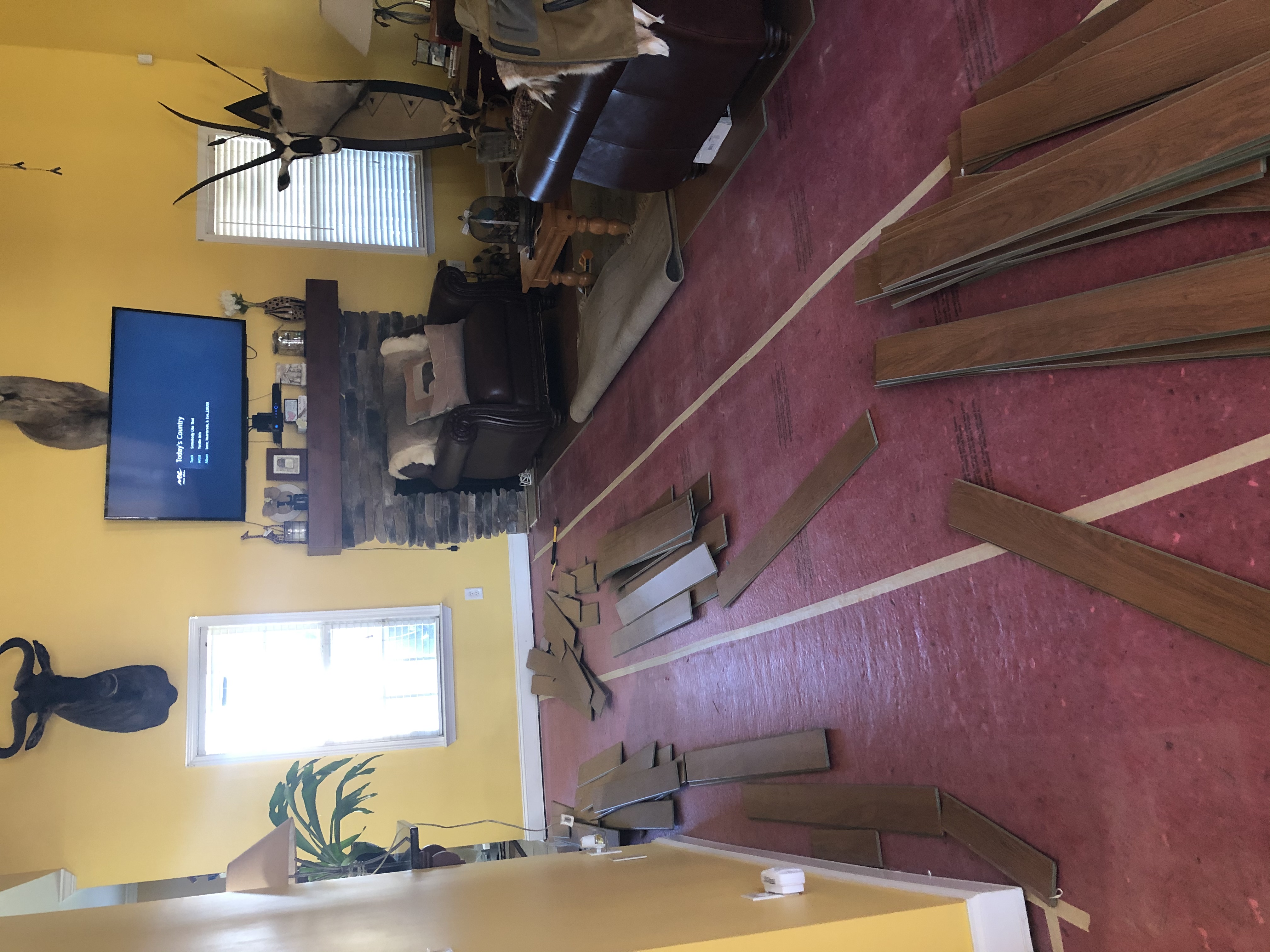 09014194-C281-40C5-9149-072EADE56E37.jpeg