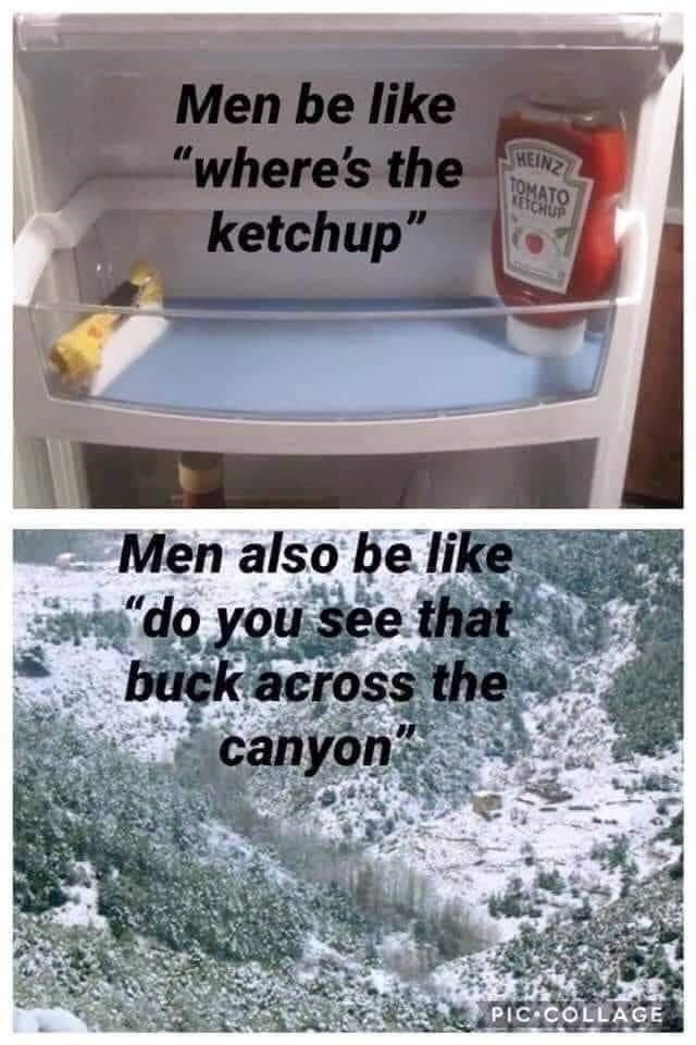 0B3B7E60-4B29-4F1D-A075-F301D589D86E.jpeg