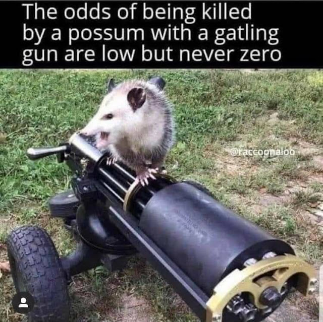 12.jpeg