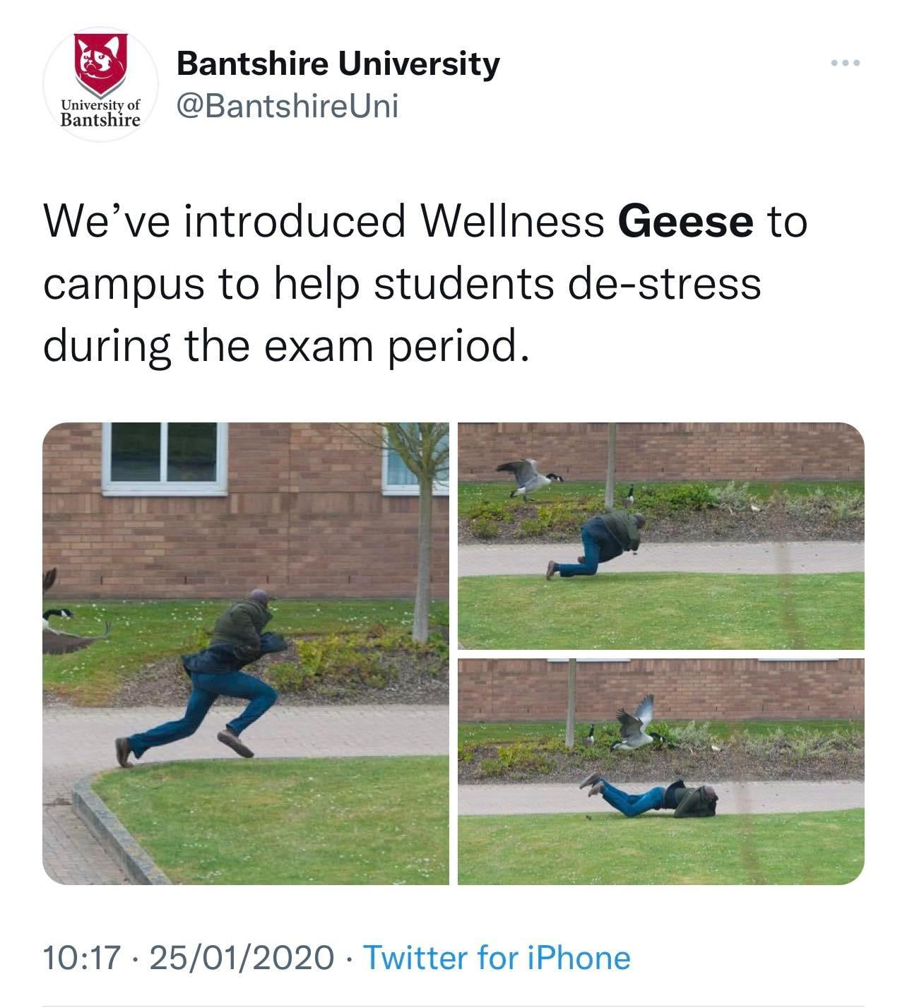1648308562639.png