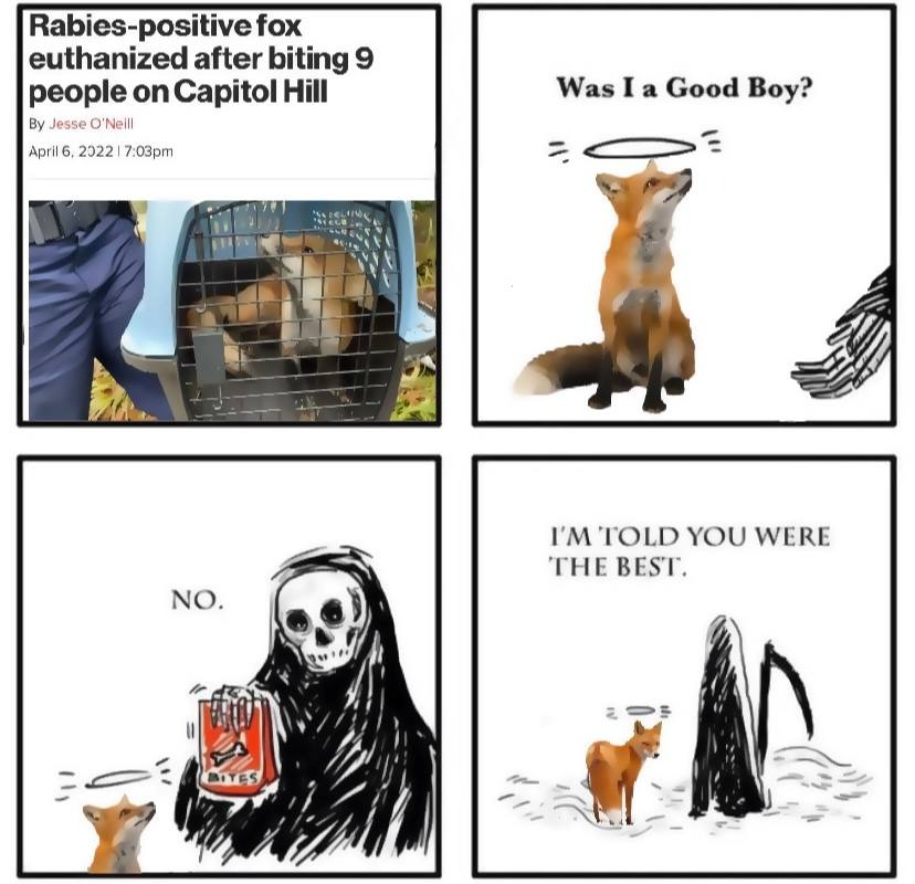 1649601694803.png