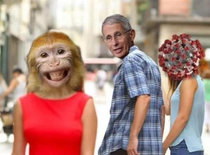 1653397338629.png