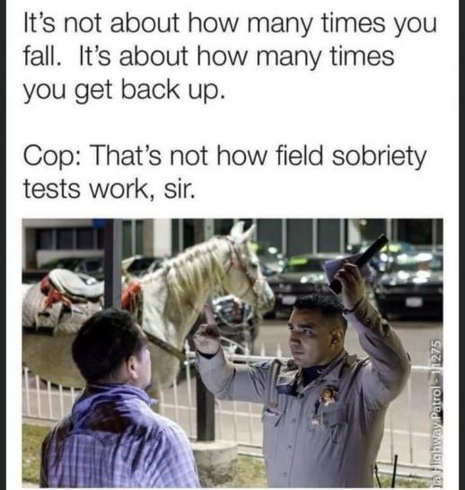1686262469327.png