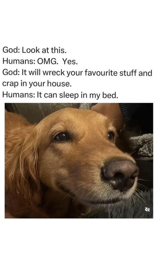 1747067281260.jpeg