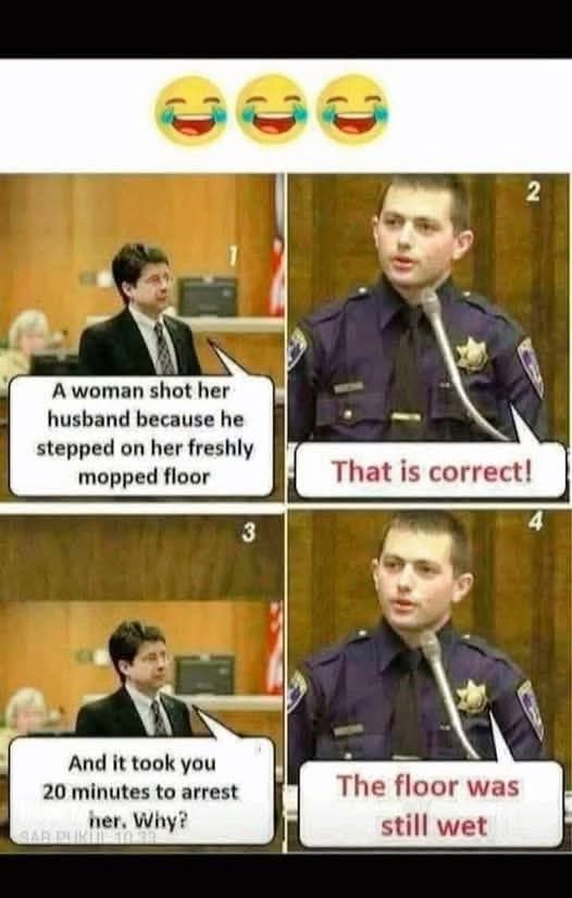 1749747593405.jpeg