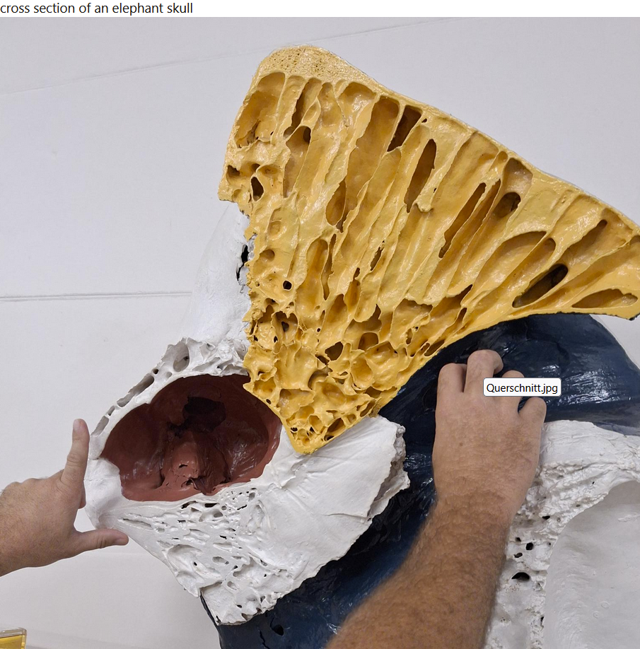 1753426952643.png