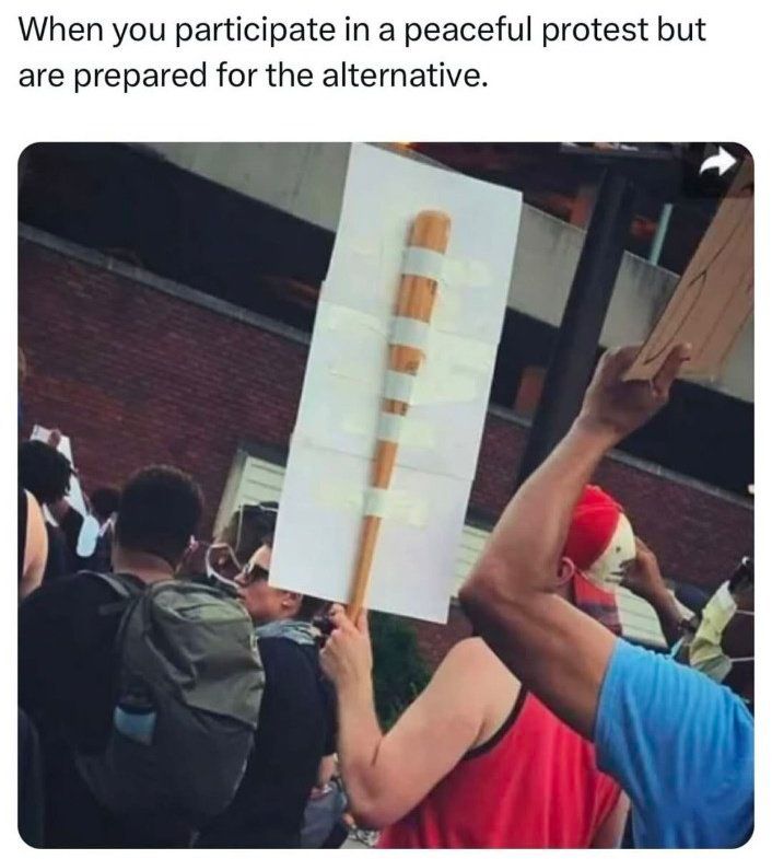 1755522958996.jpeg
