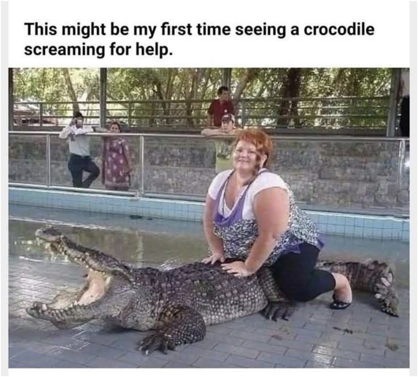 1758615203886.png