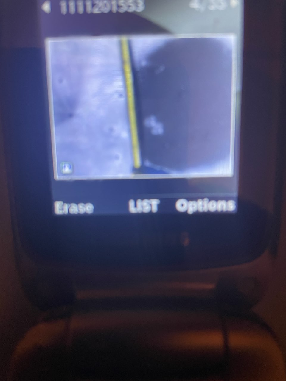 1772146302617.jpeg