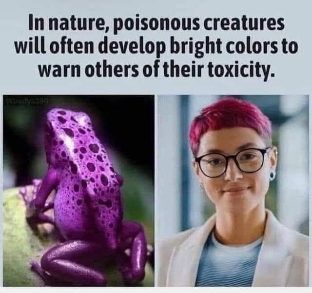 1781571912204.jpeg