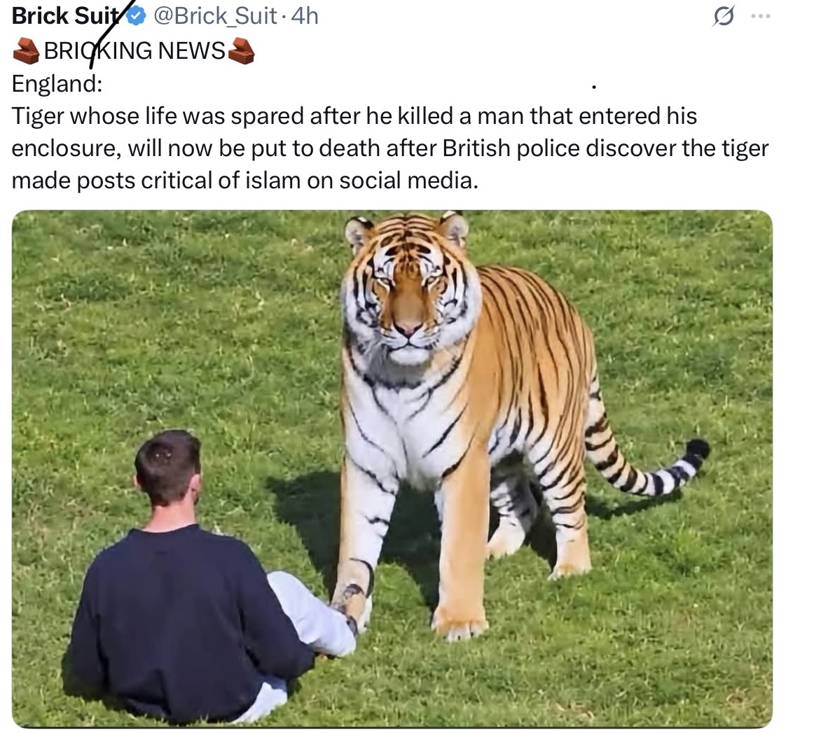 1791752980579.jpeg