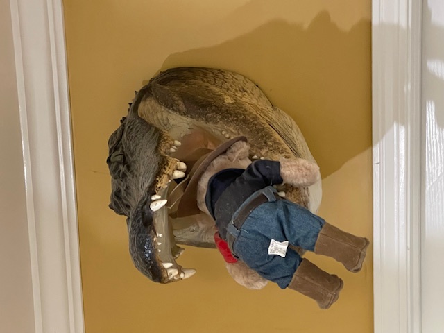 1792152062608.jpeg