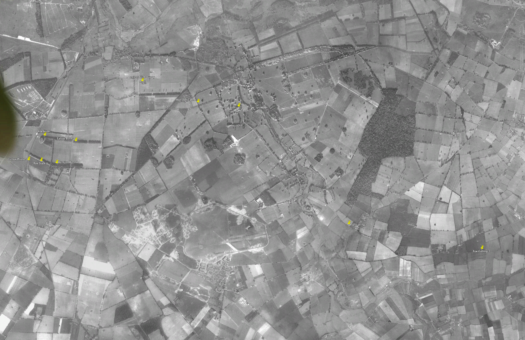 1945 Aerial View.png