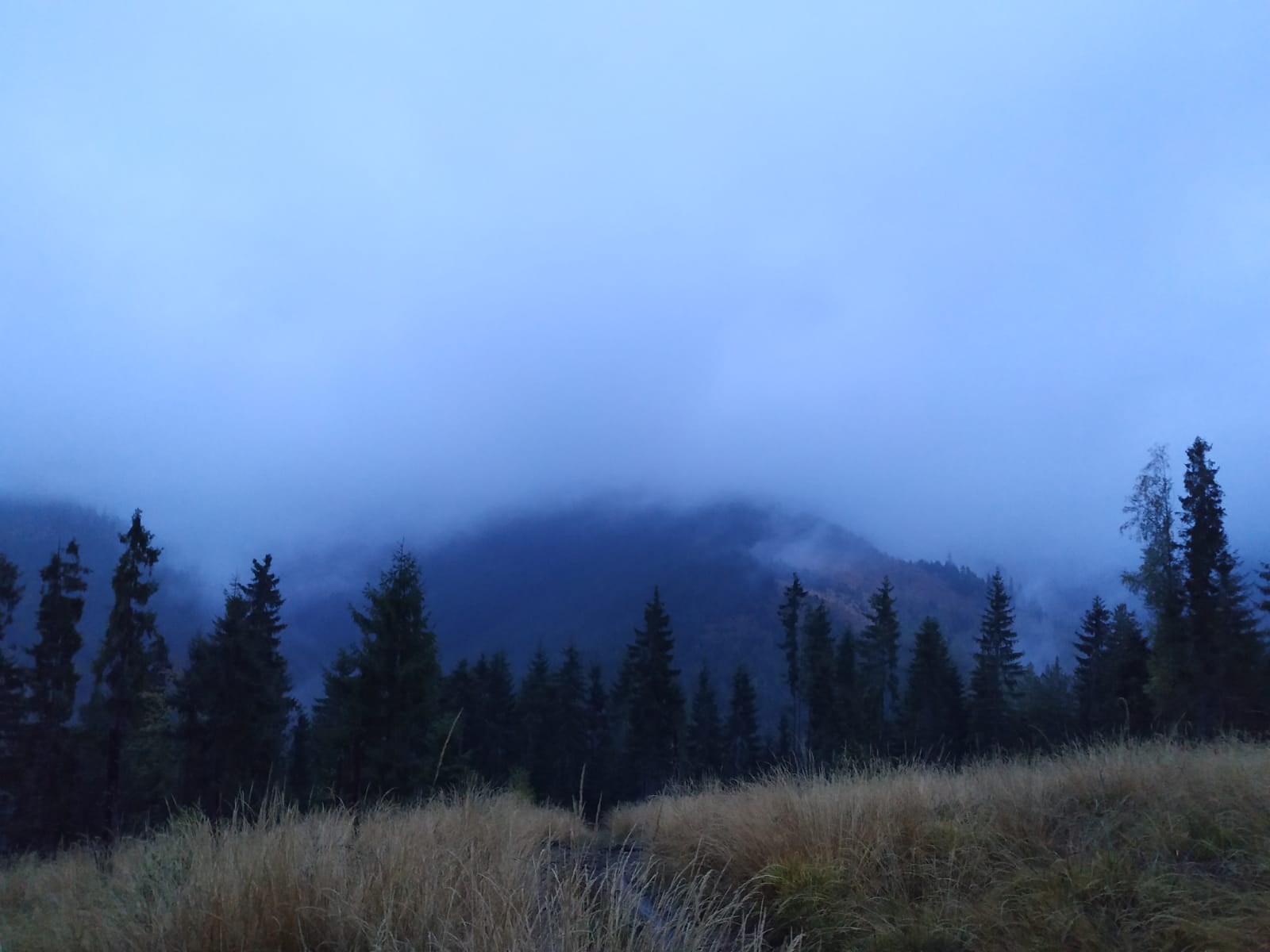 19C05446-7C84-4C46-A47B-33E1F4D6EA30.jpeg