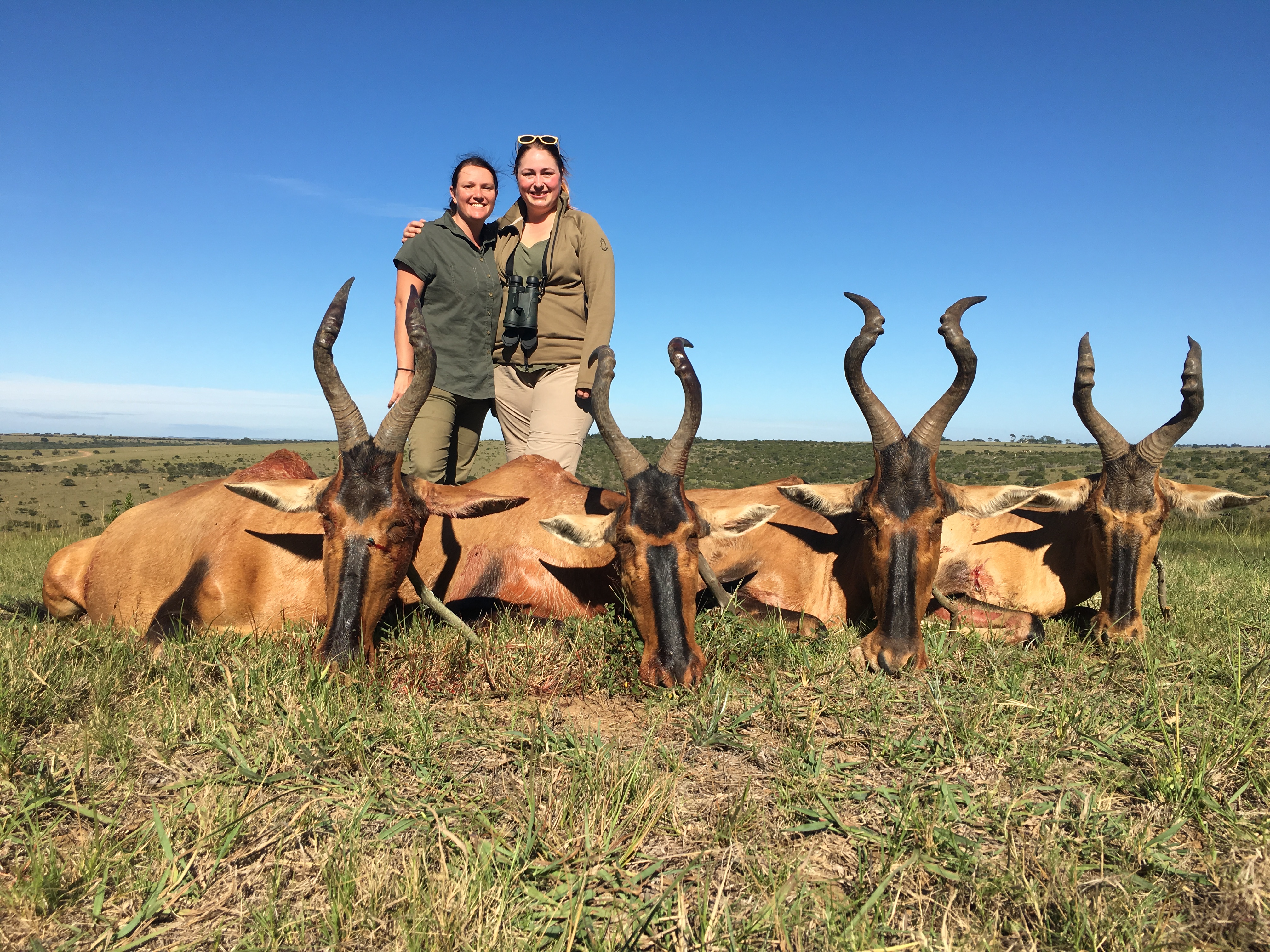 Cull Hunt Eastern Cape | AfricaHunting.com