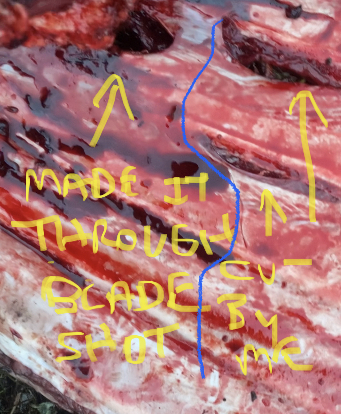 1B97B903-4F3B-4E4D-9259-E40219DF38BB.jpeg