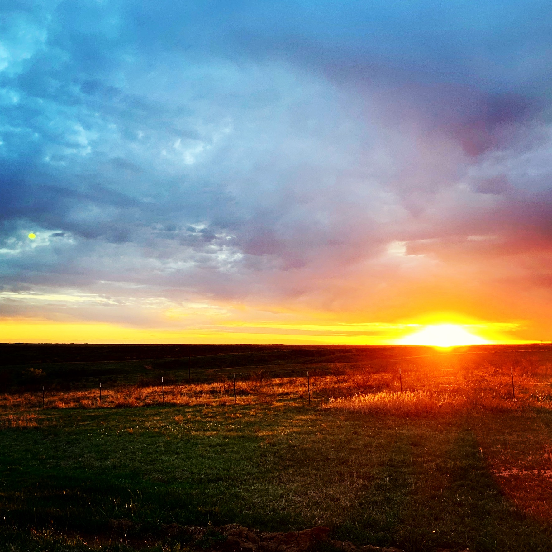 1BF18708-F559-4B86-9083-E3901E974D5F.jpeg