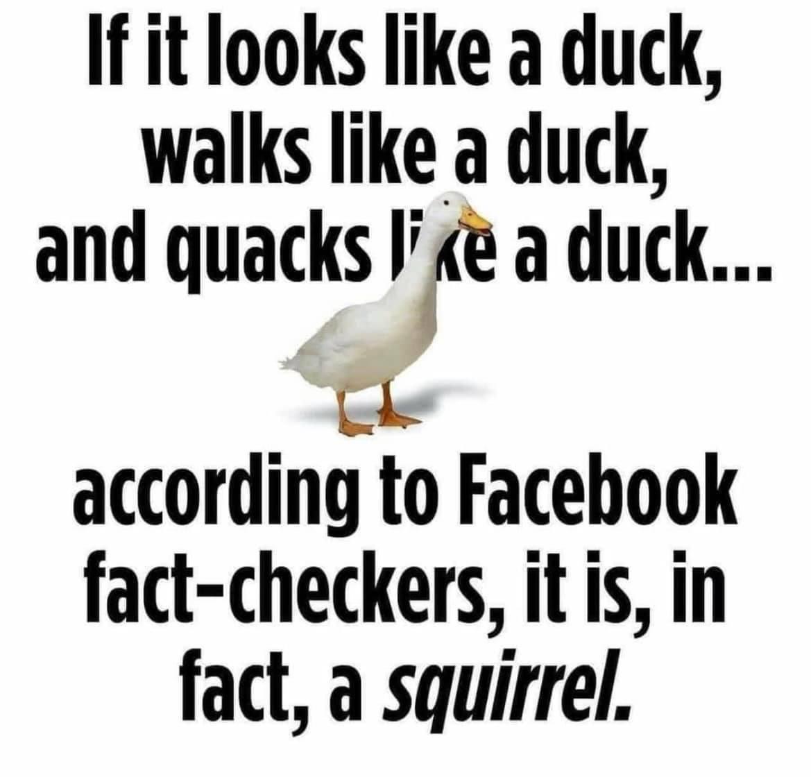1C8A794C-918B-4F13-96FE-EF62E0AFDA97.jpeg