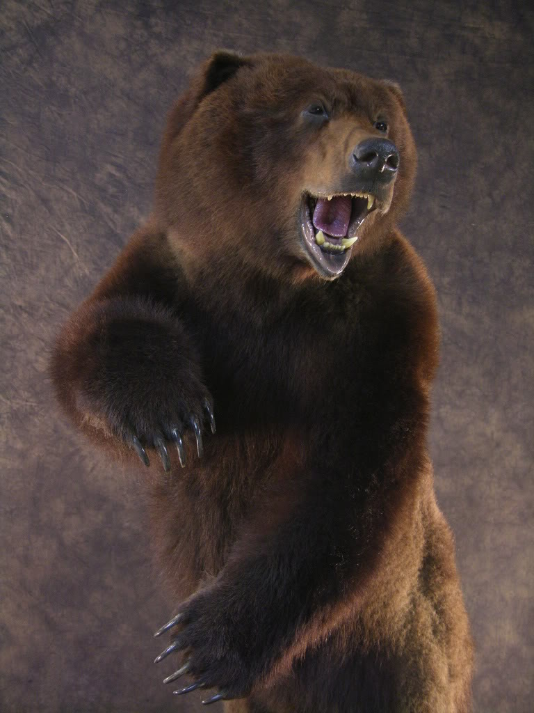 1e.jpg
