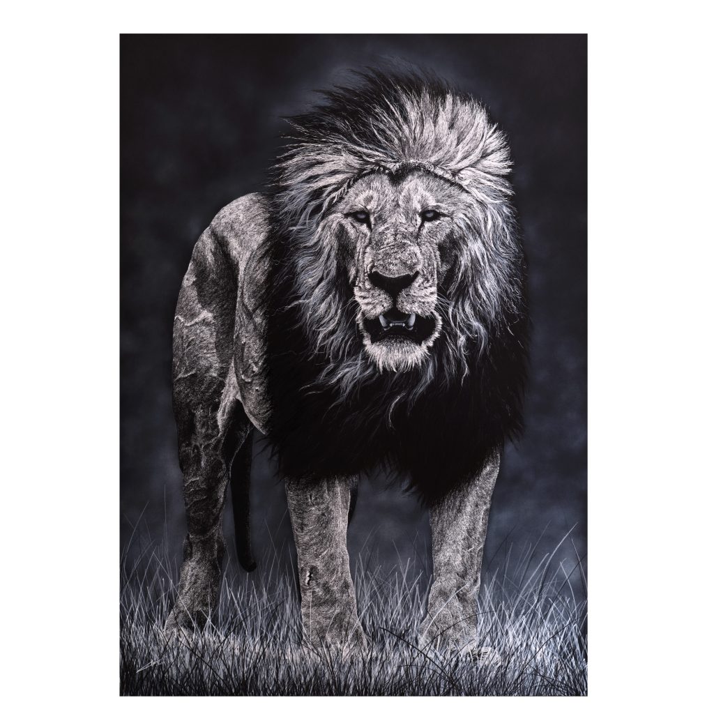 2000x2000px-lion-1024x1024.jpeg