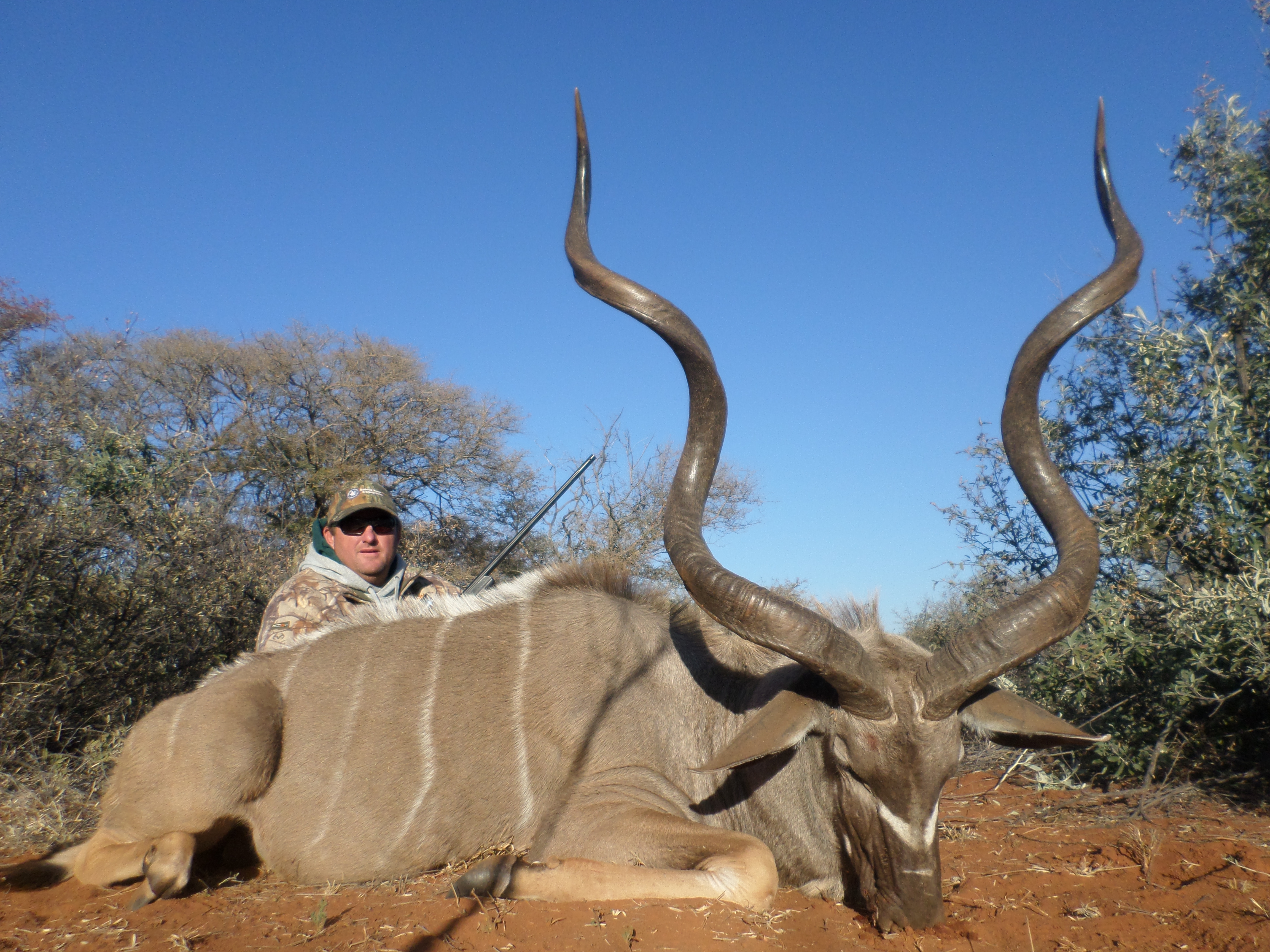 2014 limcroma kudu 3.jpg