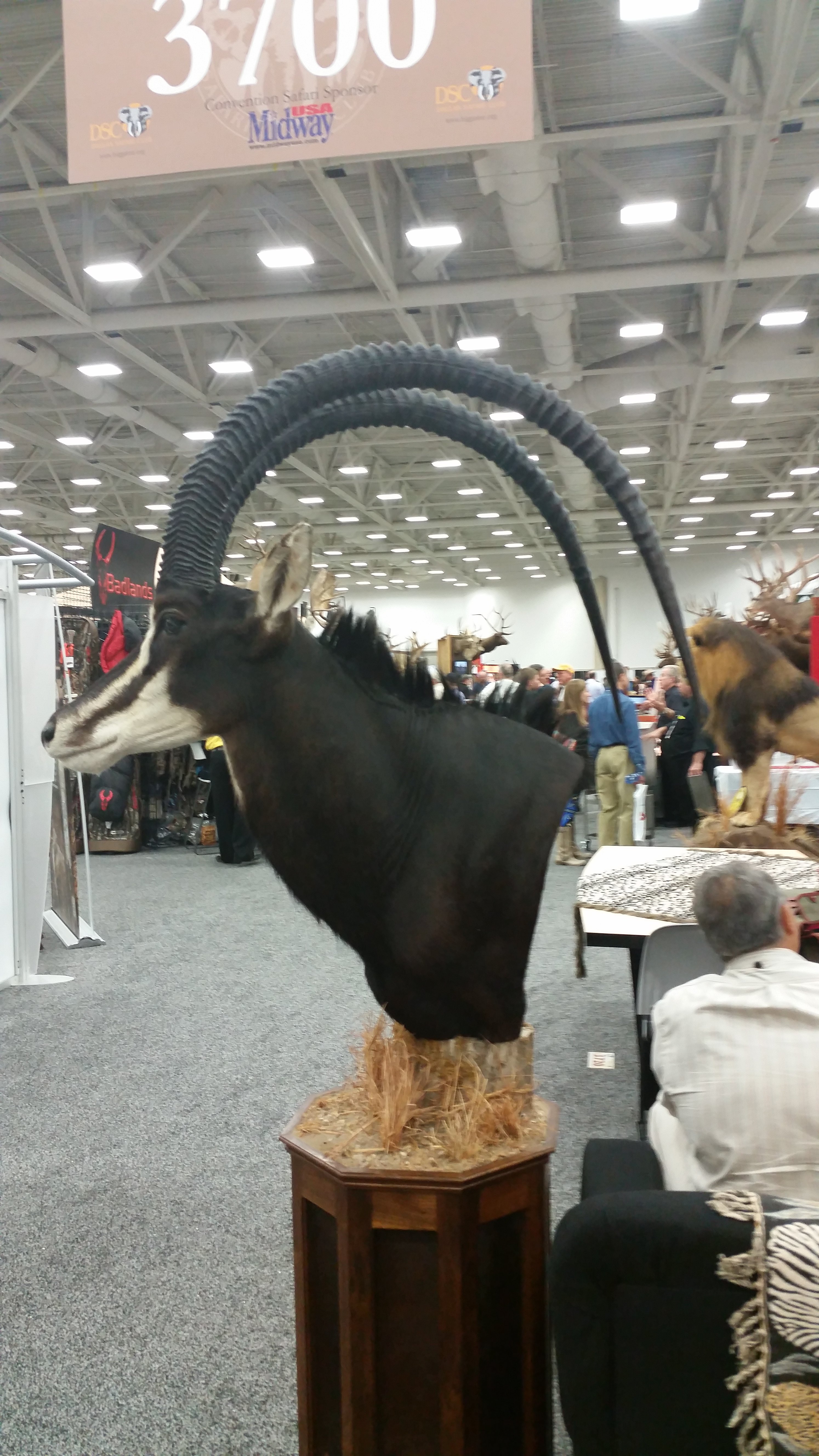 20150117_164927.jpg
