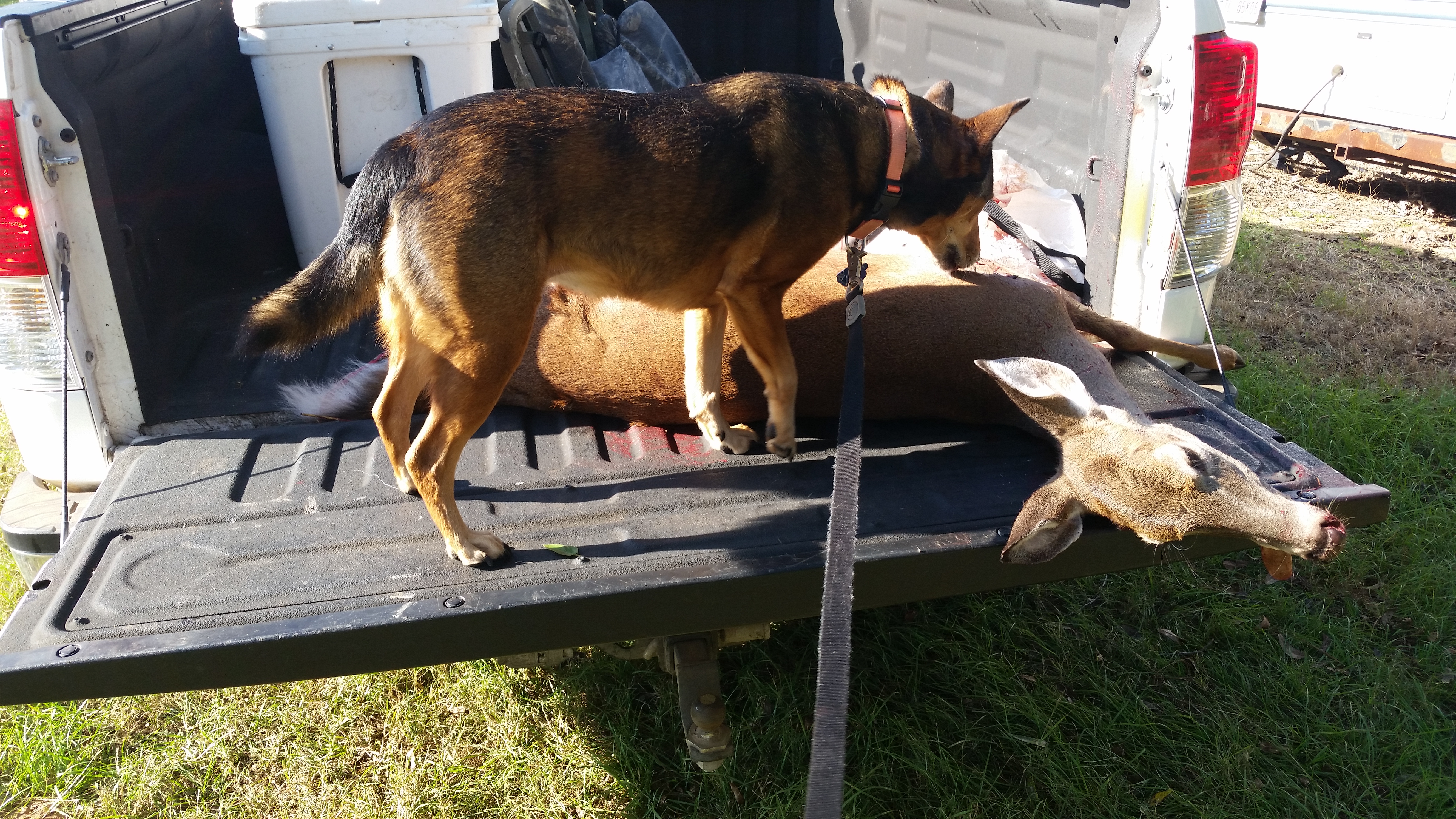 20151016_100745.jpeg