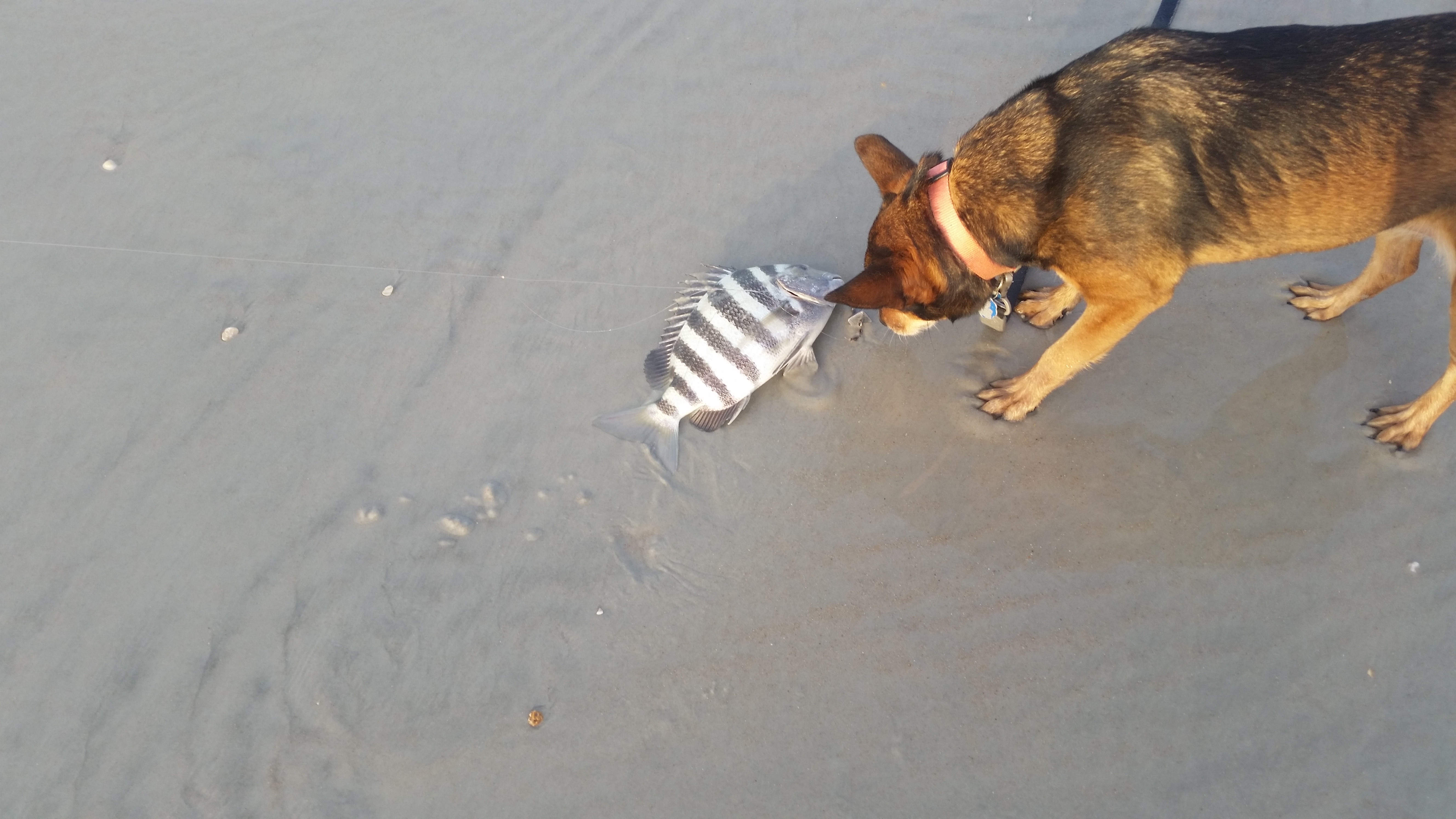 20151212_164205.jpeg