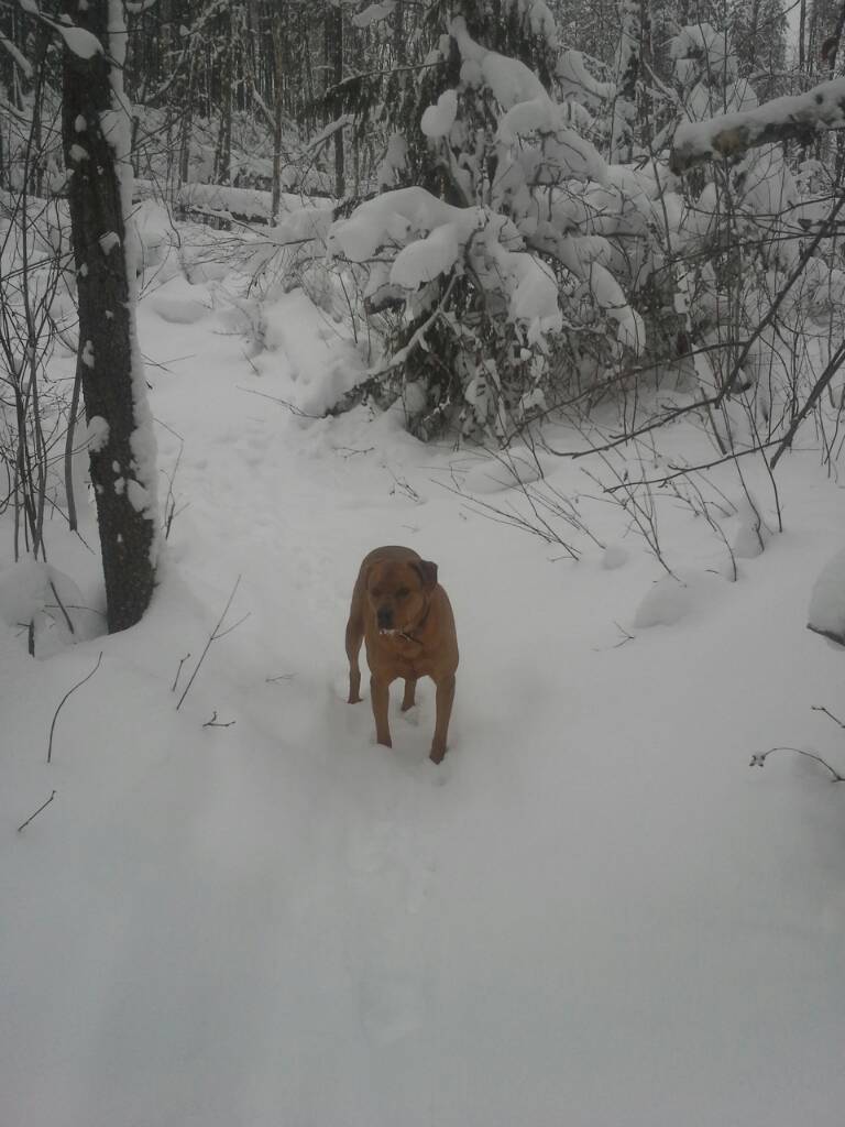 20171229_131839.jpeg