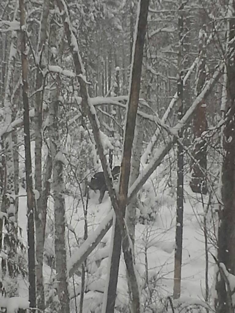20171229_134724.jpeg