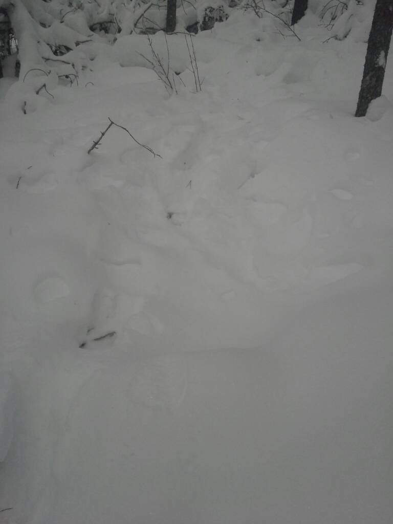 20171229_135536.jpeg