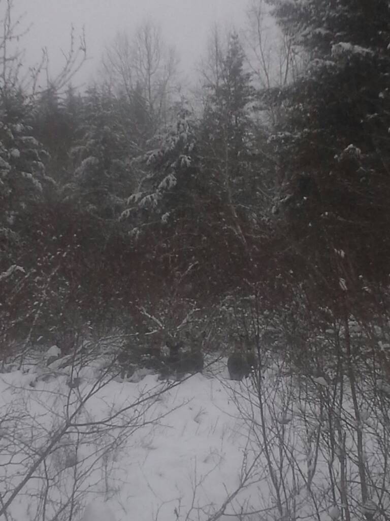 20171229_151916.jpeg