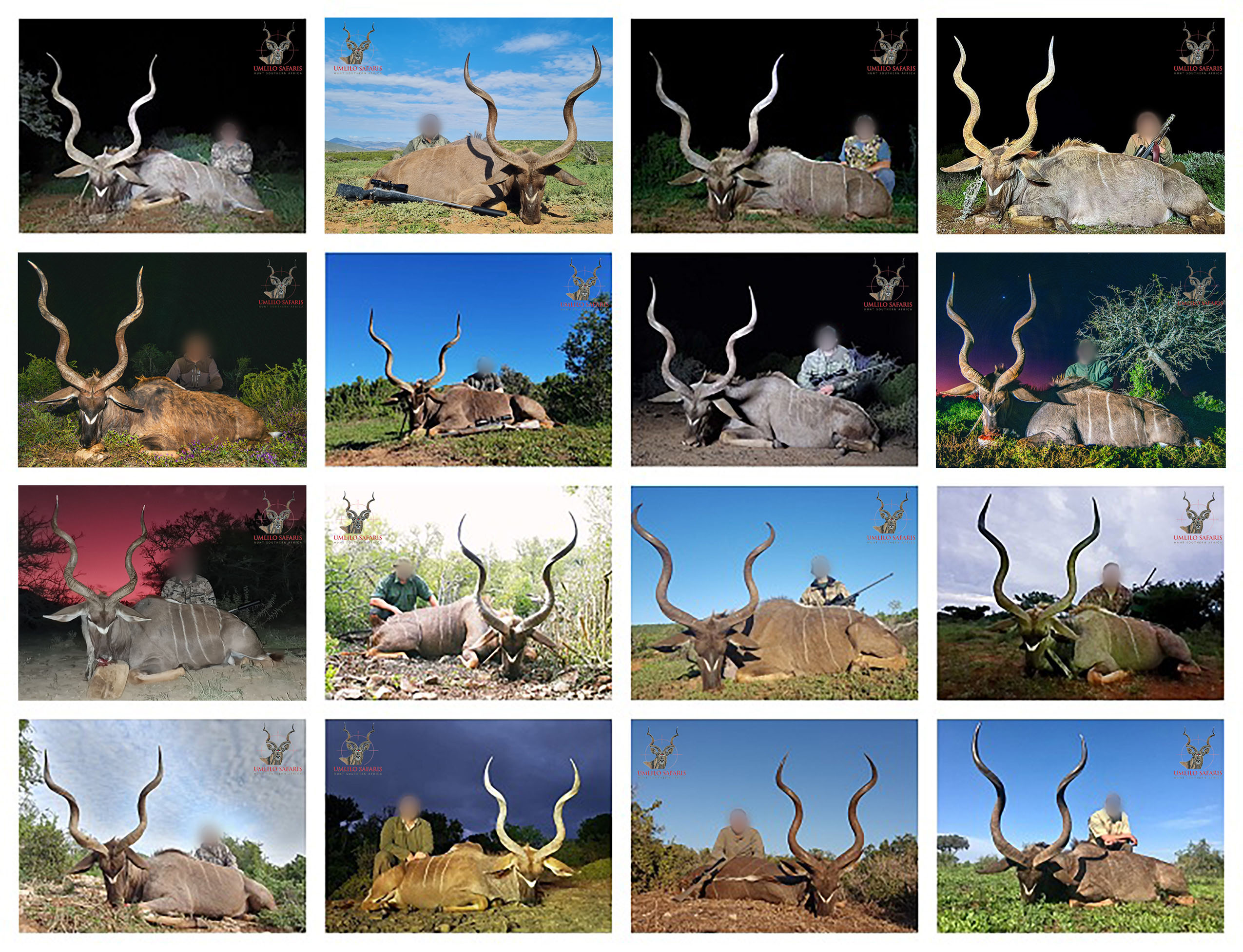 2019 Kudu collageECV2.jpg 2019 Kudu collageECV2.jpg